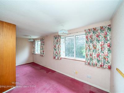 Picture 19